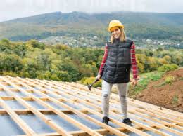 Best Emergency Roof Repair Services  in Tinley Park, IL